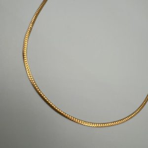 زنجیر ماری2